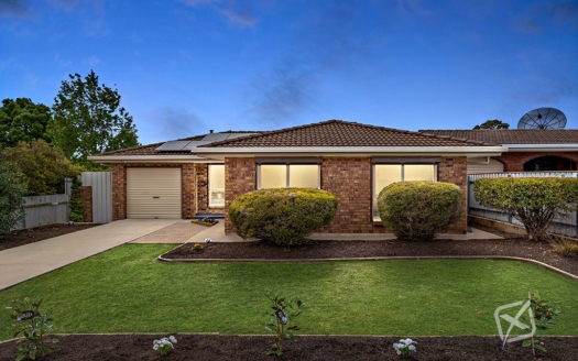 Xsell Property -  33 Riddell Road